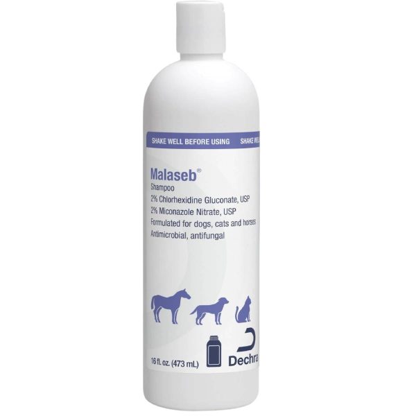 11 Best Dog Shampoos for Itchy Skin in 2024 Reviews & Top Picks Dogster