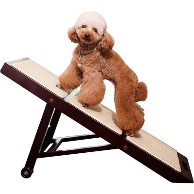 Merry Products Collapsible Dog Ramp