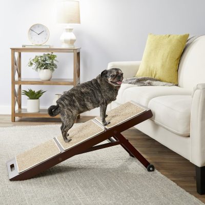 Merry Products Collapsible Dog Ramp