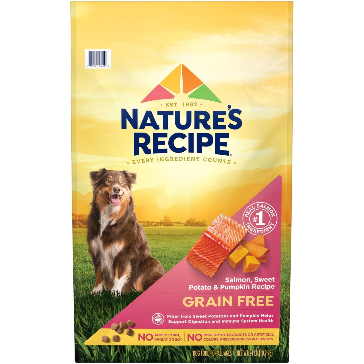 Nature’s Recipe Grain-Free Salmon & Potato Dog Food