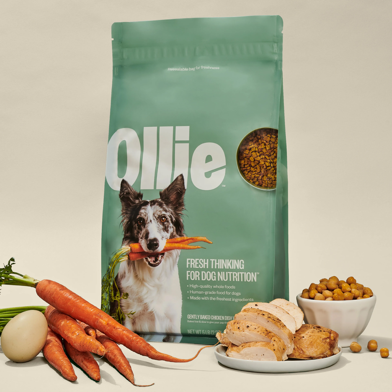 Ollie Baked Chicken & Carrot Recipe Dog Food