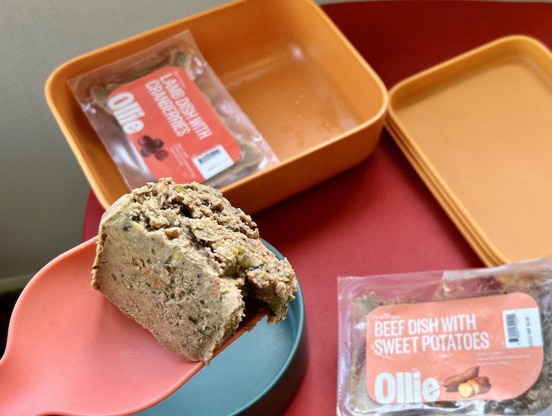 Ollie Dog Food Scoop Fresh Food and Bowl