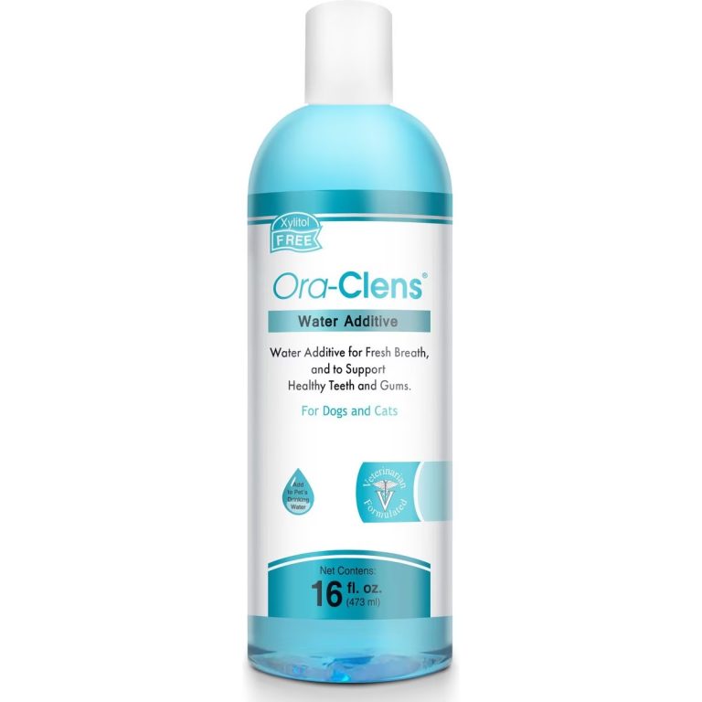 8 Best Dog Dental Water Additives in 2026 - Reviews & Top Picks – Dogster