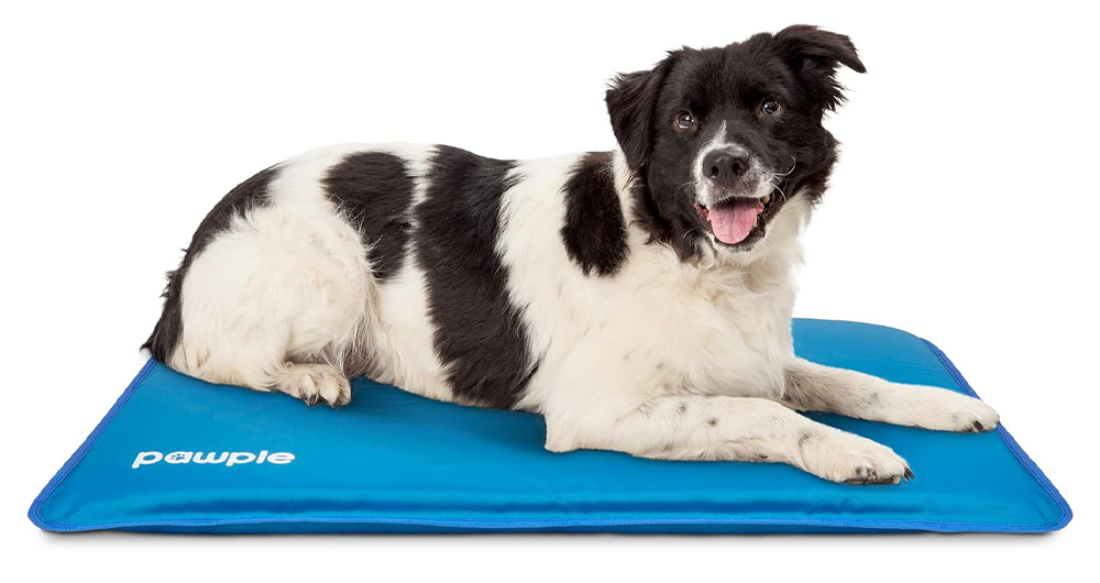 Pawple Dog Cooling Mat