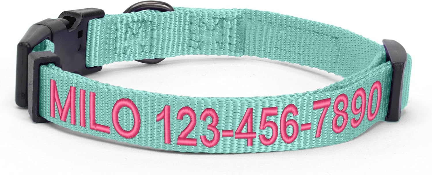 Pawtitas Solid Personalized Dog Collar