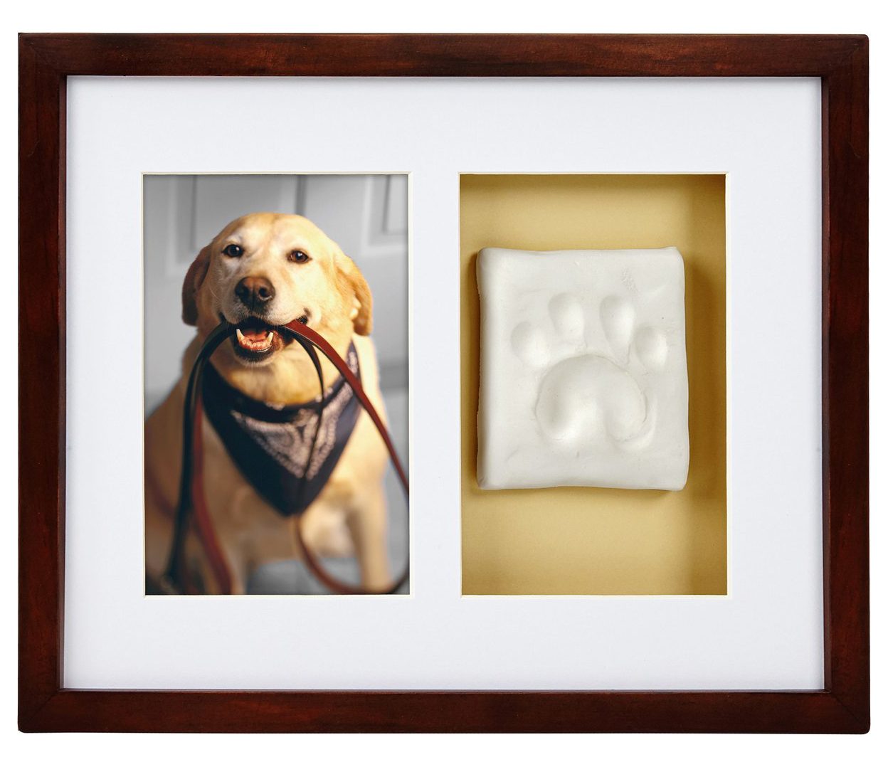 Pearhead Pawprints Dog & Cat Wall Frame and Impression Kit