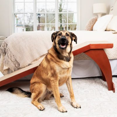 PetSafe Wooden Dog Ramp