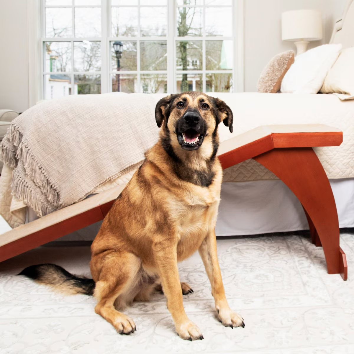 PetSafe CozyUp Wooden Dog Ramp