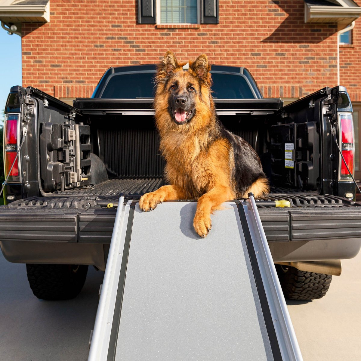 PetSafe Happy Ride Telescoping Car Dog Ramp