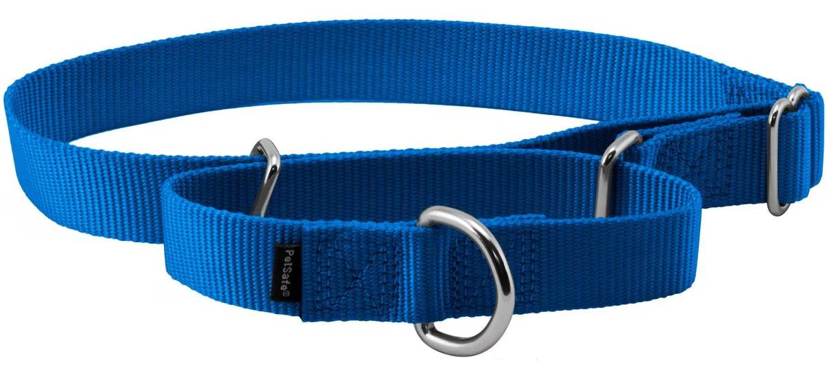 PetSafe Nylon Martingale Dog Collar