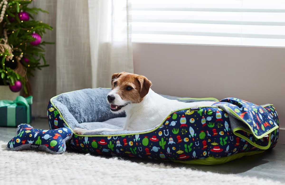 Pixar Toy Story Pet Bed & Gift Set