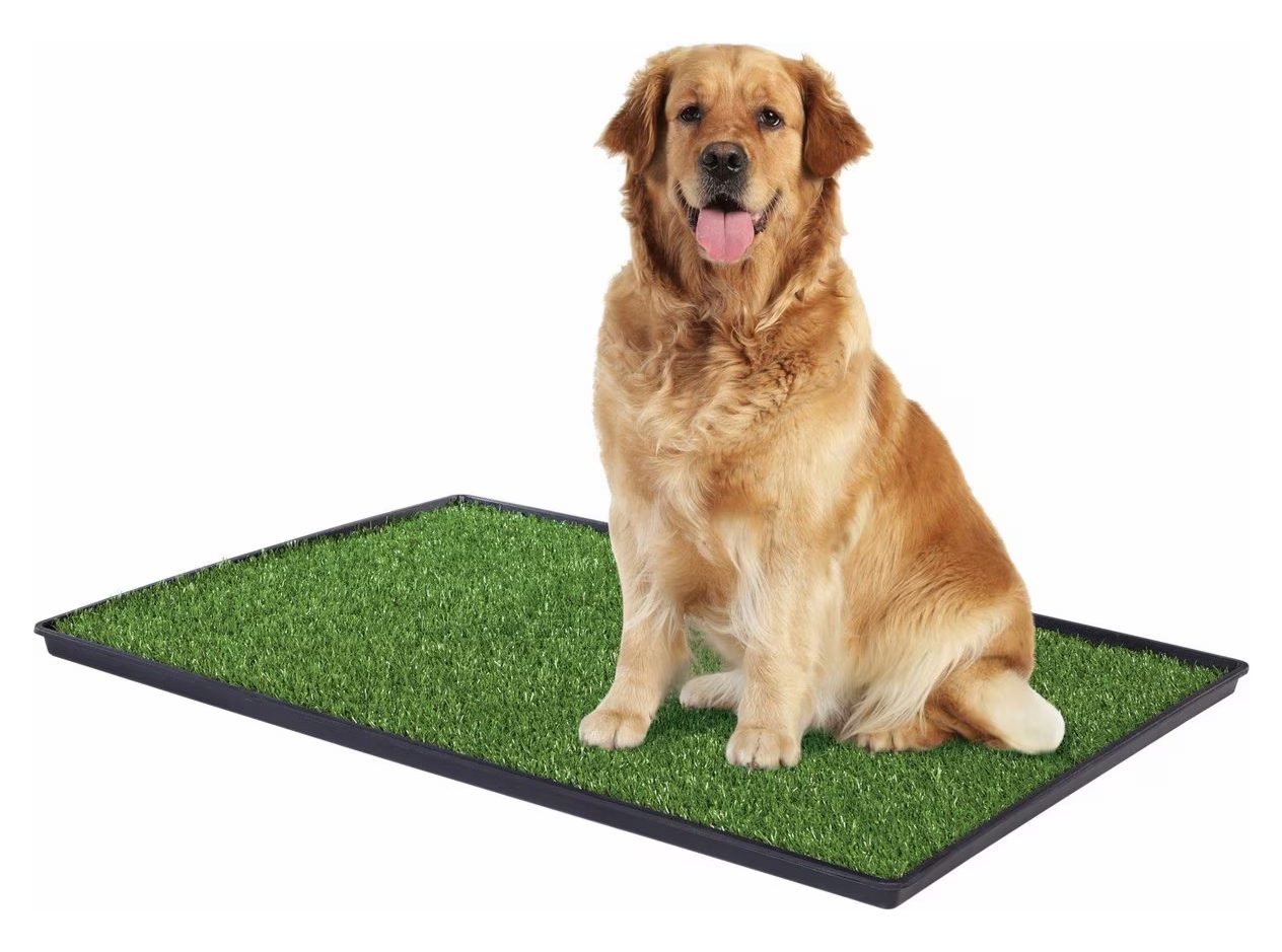 Prevue Pet Products Tinkle Turf System for Dogs