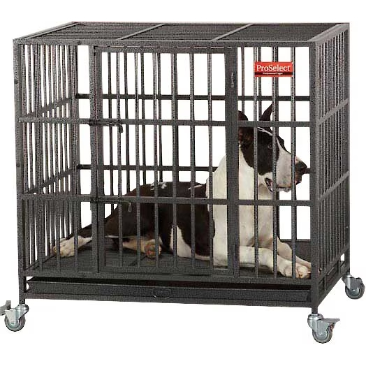 ProSelect Empire Single Door Steel Dog Crate 