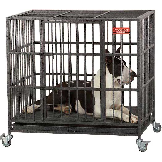 ProSelect Empire Single Door Steel Dog Crate