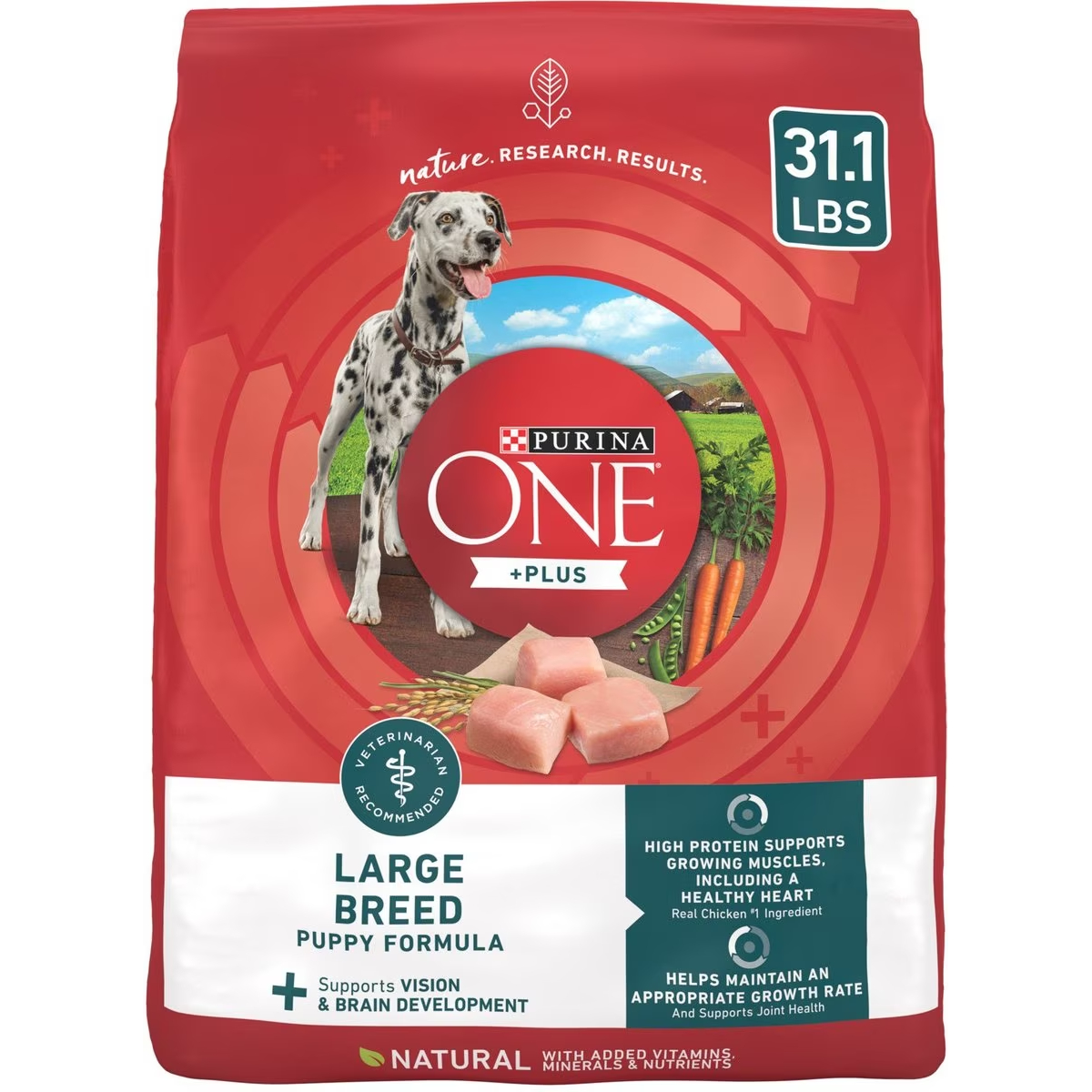 Purina ONE Natural High Protein +Plus Large Breed Dry Puppy Food 
