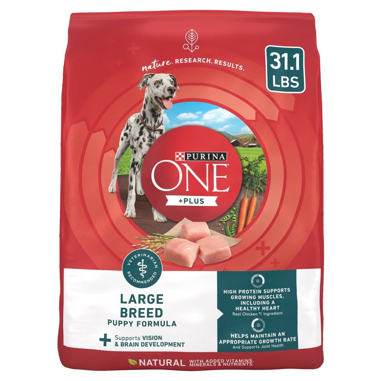 Purina ONE SmartBlend Dry Puppy Food