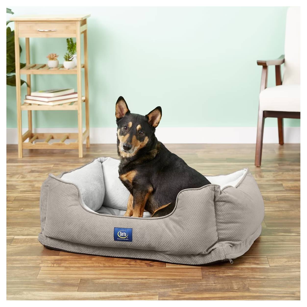 Serta Orthopedic Bolster Dog Bed