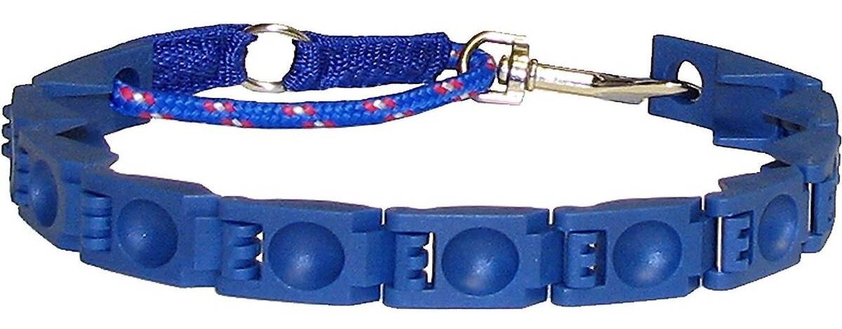 The Perfect Dog Command Training Dog Collar