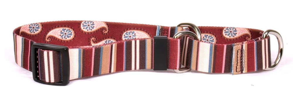 Yellow Dog Design Paisley Personalized Dog Collar