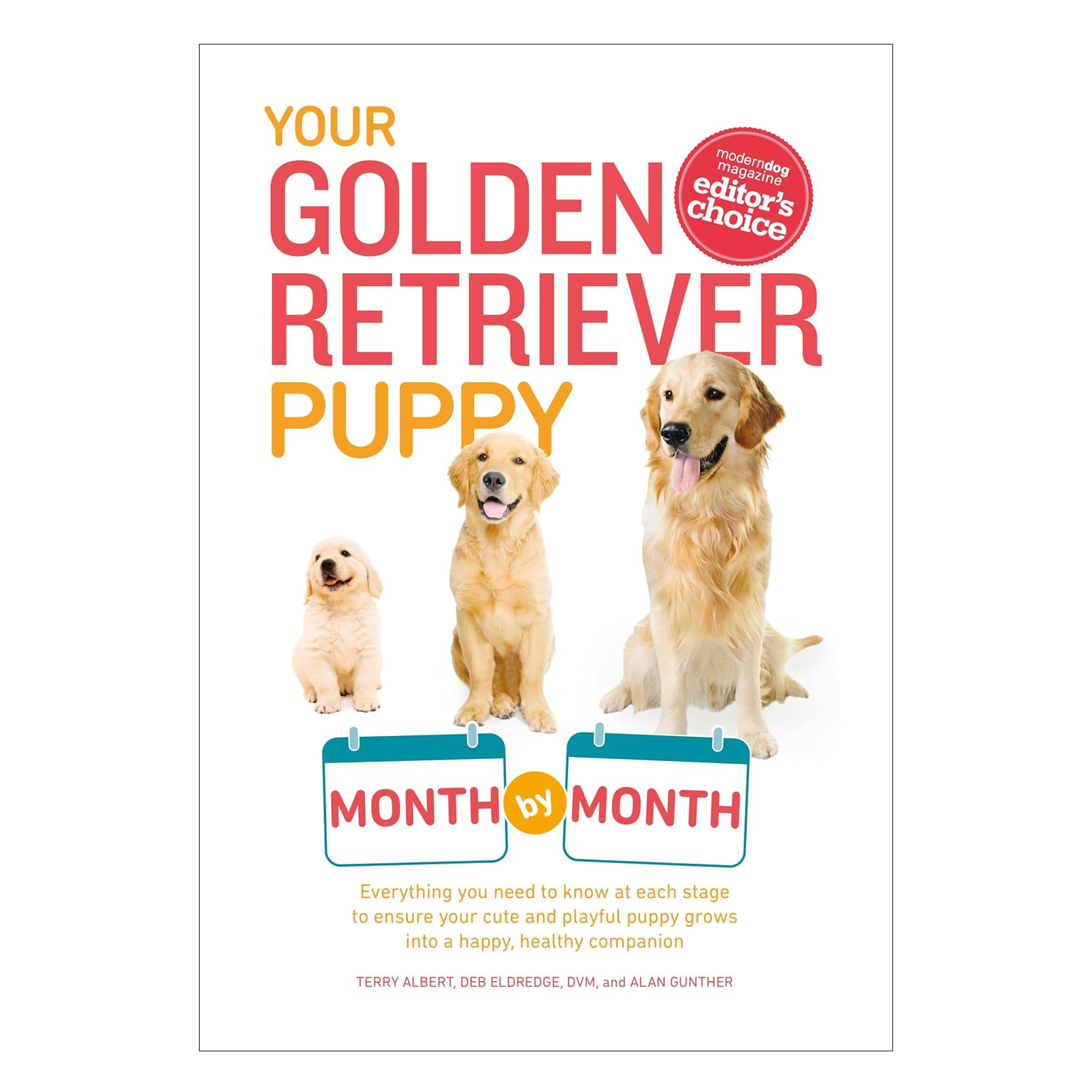 Your Golden Retriever Puppy Month by Month