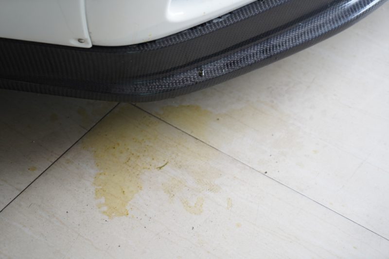 dogs-pee-on-the-concrete-in-garage