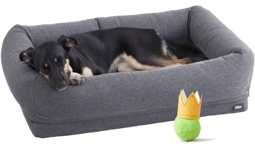 BarkBox Memory Foam Dog Bed