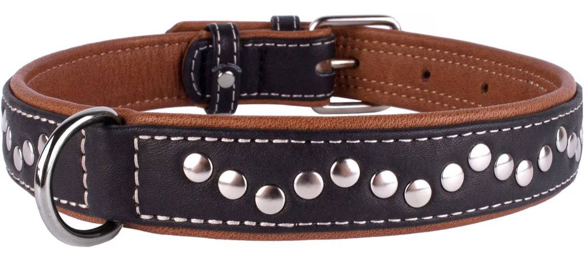 CollarDirect Handmade Studded Leather Dog Collar