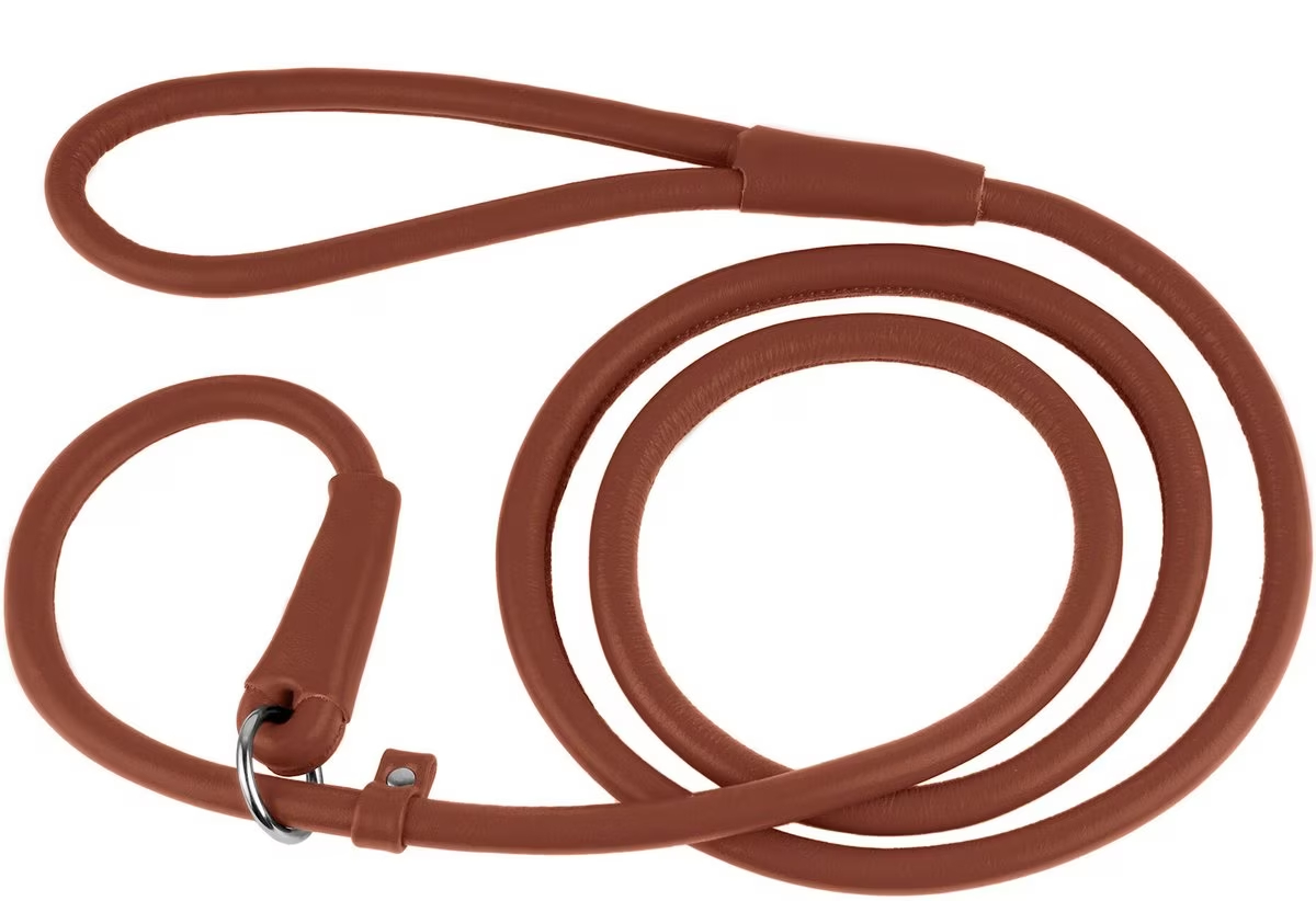 CollarDirect Rolled Leather Dog Slip Lead