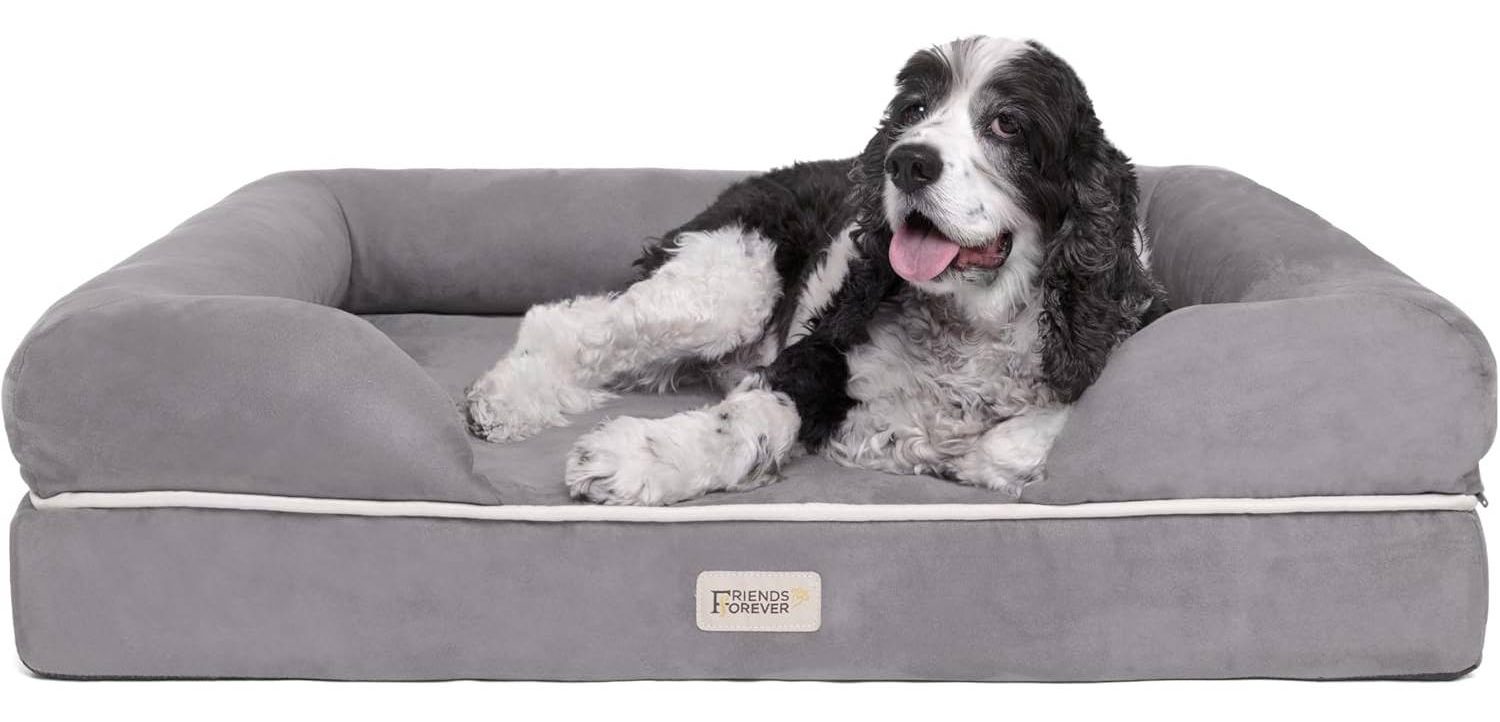 Friends Forever Orthopedic Dog Bed Lounge Sofa