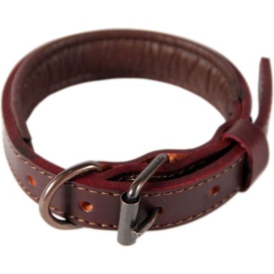 Logical Leather Padded Dog Collar