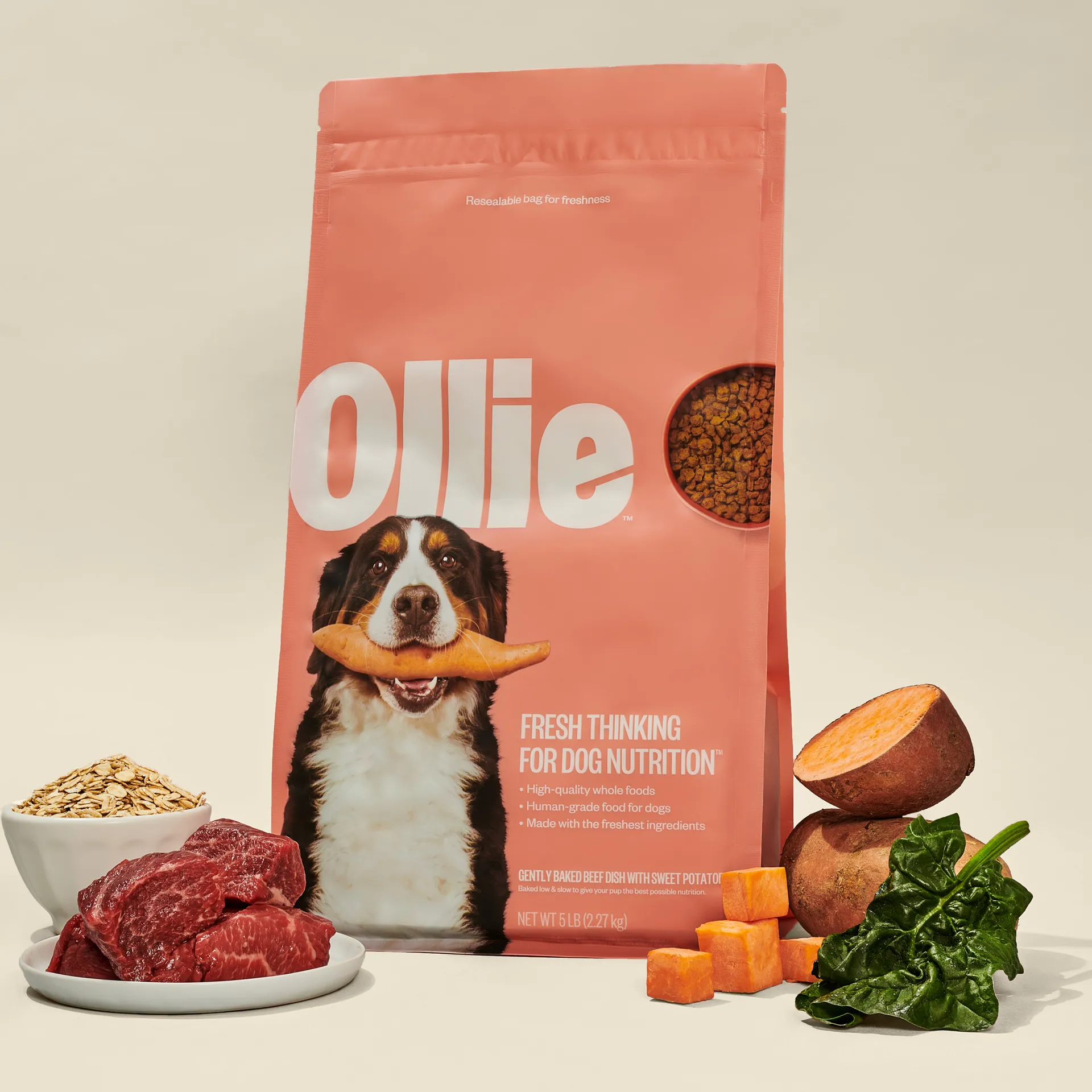 Ollie Gently Baked Dog Food