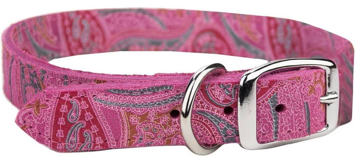 OmniPet Paisley Leather Dog Collar
