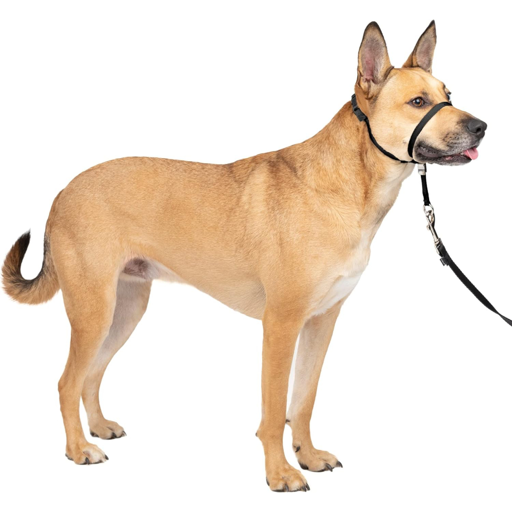 PetSafe Gentle Leader No-Pull Dog Headcollar