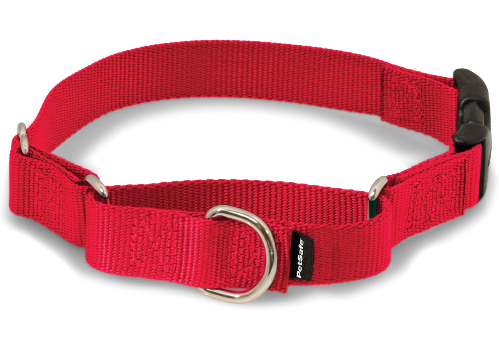 PetSafe Martingale Collar with Quick Snap Buckle 