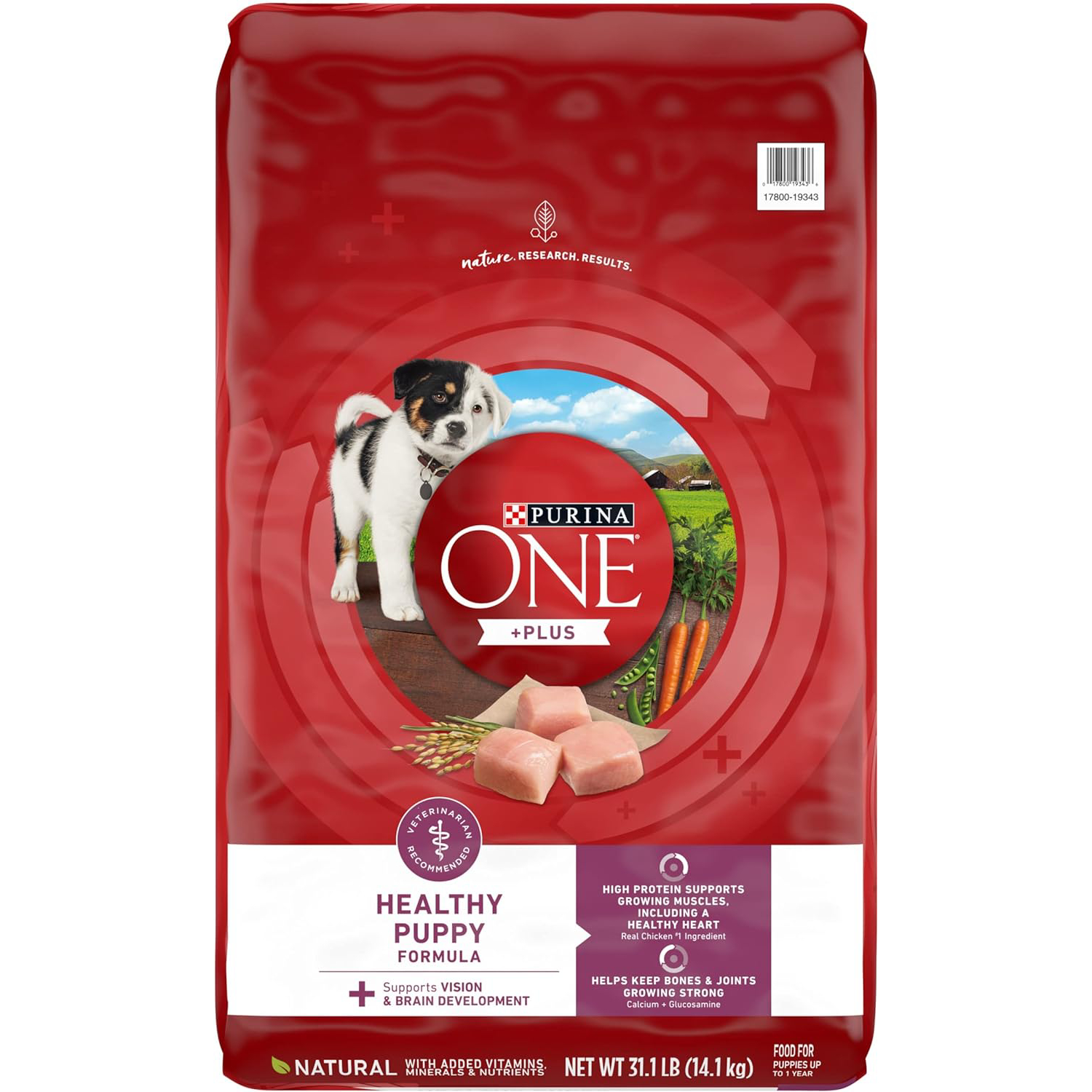 Purina ONE Plus Healthy Puppy Formula High Protein Natural Dry Puppy Food