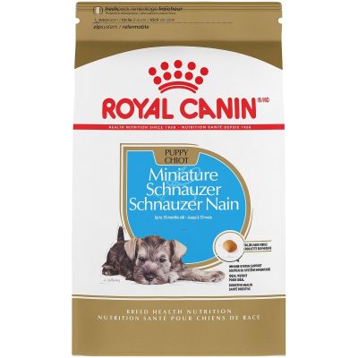 Royal Canin Miniature Schnauzer Puppy Chiot