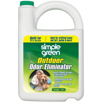 Simple Green Outdoor Dog