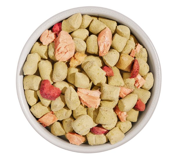 8 Best Dog Foods for Gassy Dogs in 2024 Reviews & Top Picks Dogster