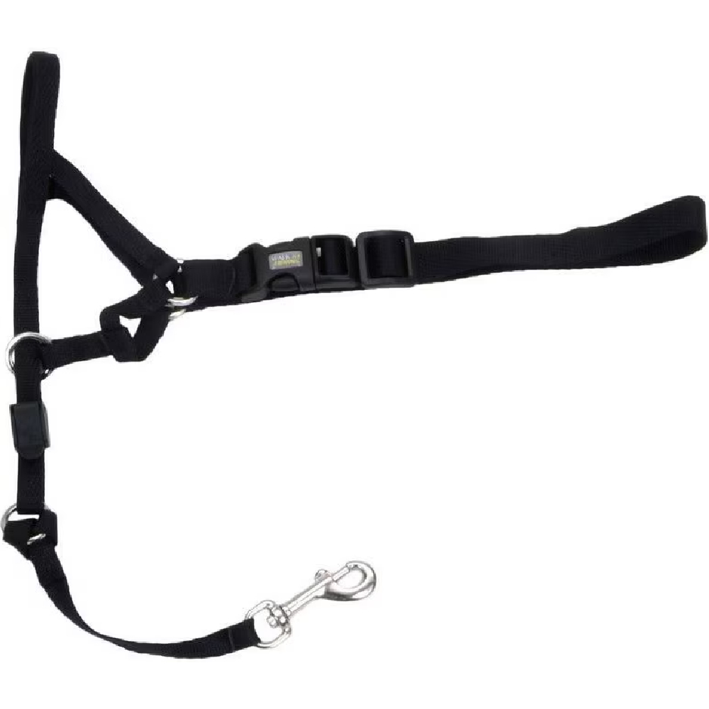 Walk 'n Train Polyester Dog Headcollar