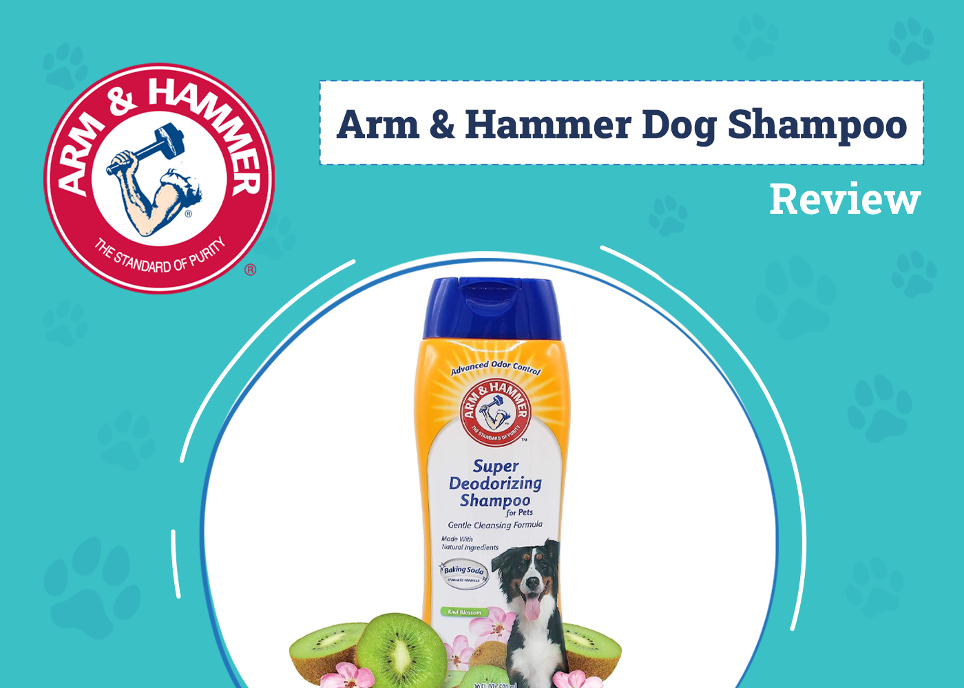 Arm And Hammer