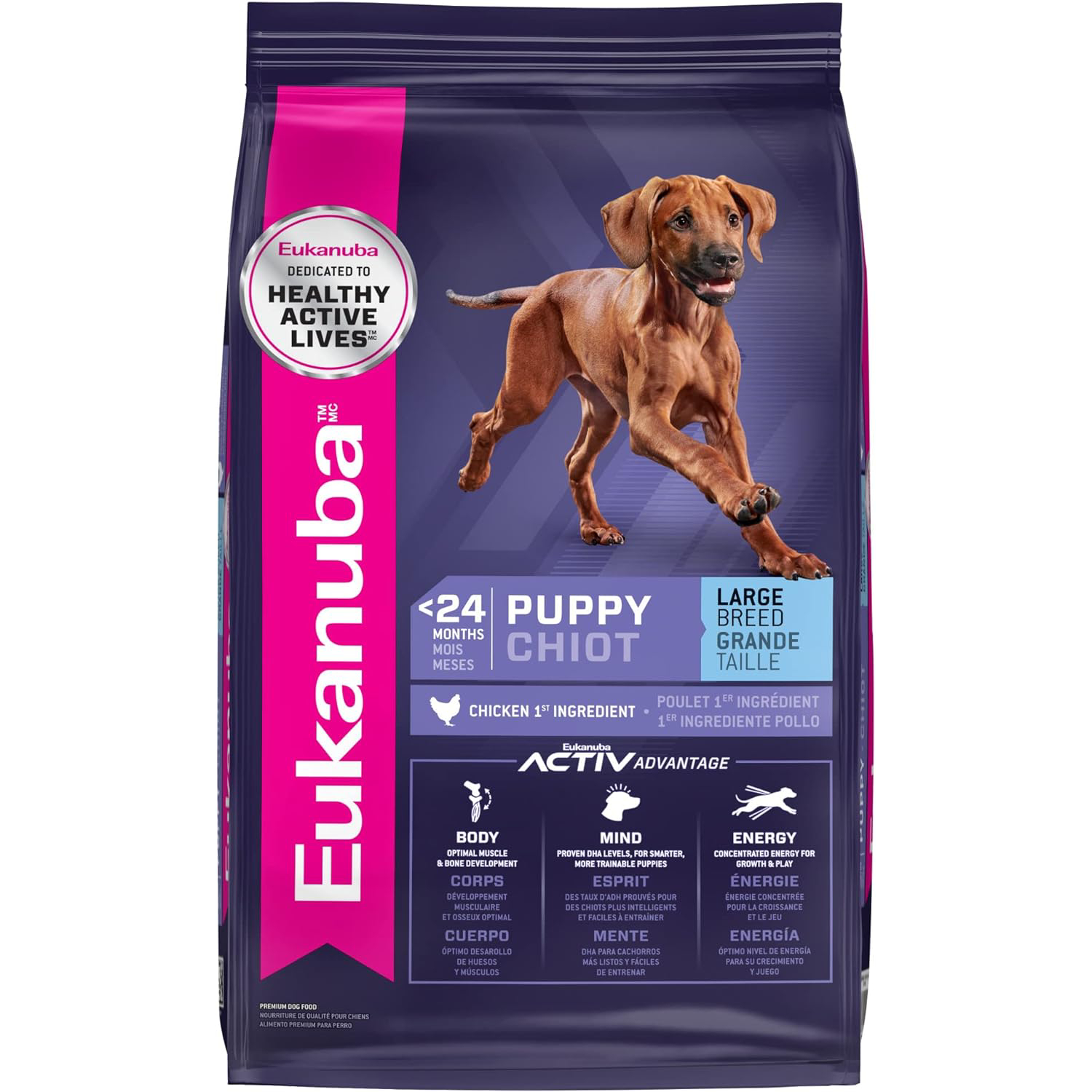 Eukanuba Dry Large Breed Puppy Food