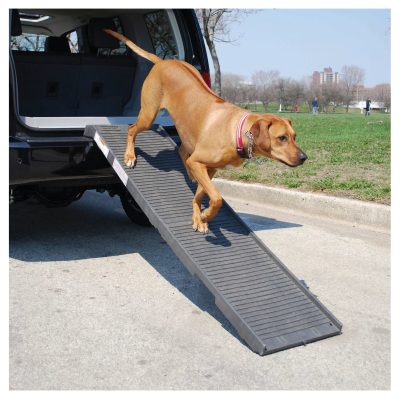 PetSTEP Folding Pet Ramp