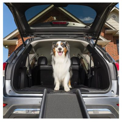 PetSafe Foldable Dog Ramp