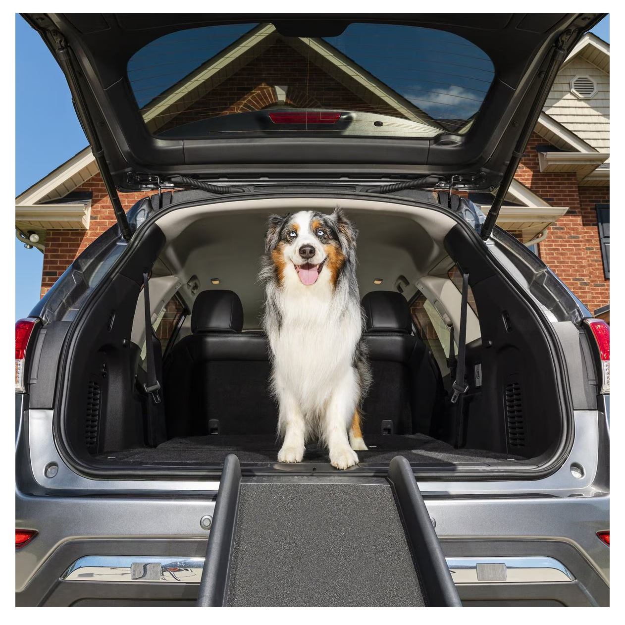 PetSafe Happy Ride Foldable Dog Ramp