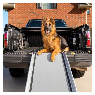 PetSafe Telescoping Dog Car Ramp