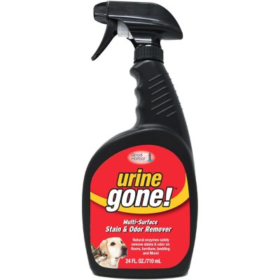 Urine Gone Pet Stain & Odor Eliminator