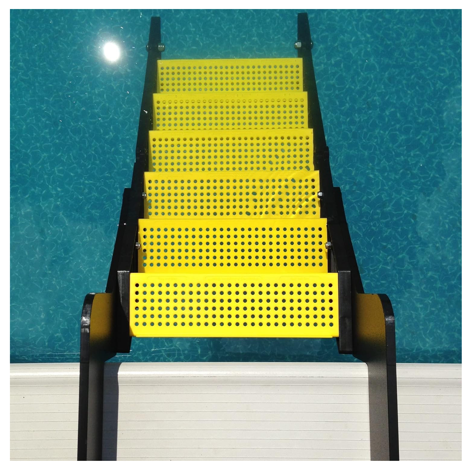 WaterDog Adventure Gear Dog Ladder for Swimming Pool