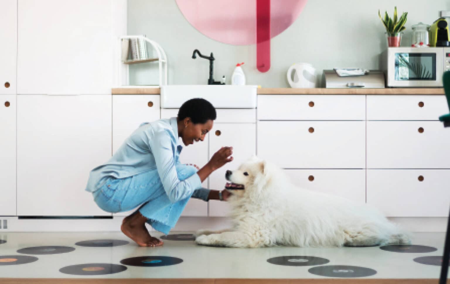 What Food Is Good For Dogs Skin And Coat? (Facts, & FAQ) Dogster