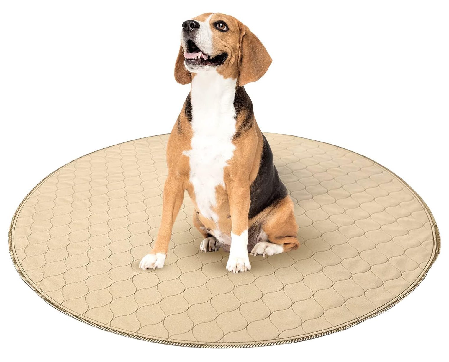Zampa Pets Quality Whelp Round Dog Pee Pad