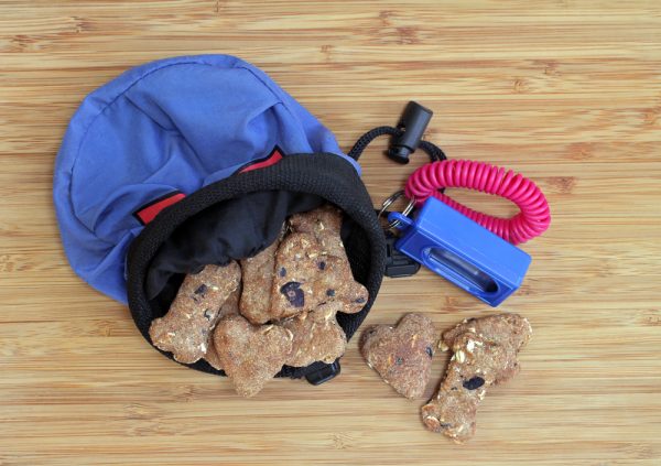 a blue treat pouch with treats inside